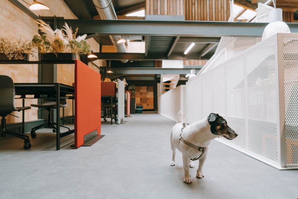 Ocube - Coworking - Bordeaux