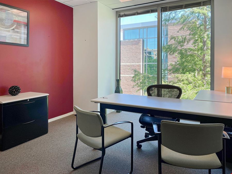 TX, The Woodlands - Waterway