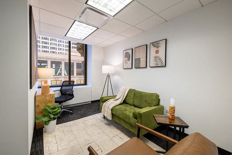 Expansive Therapy Room