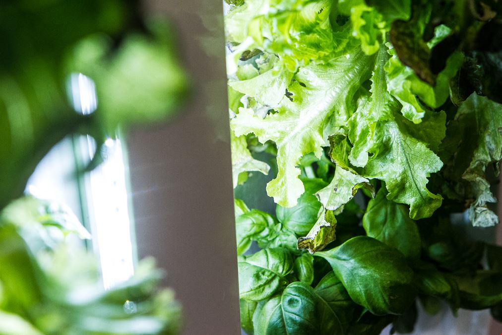 Impact Hub - Stockholm