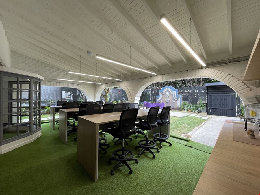 Quokka - Patio Bonito