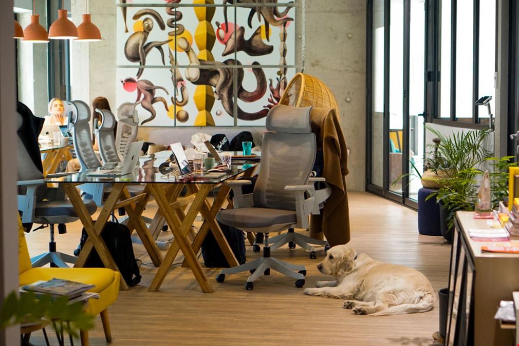 V7 Startup Studio - Athenaeum - Bucharest