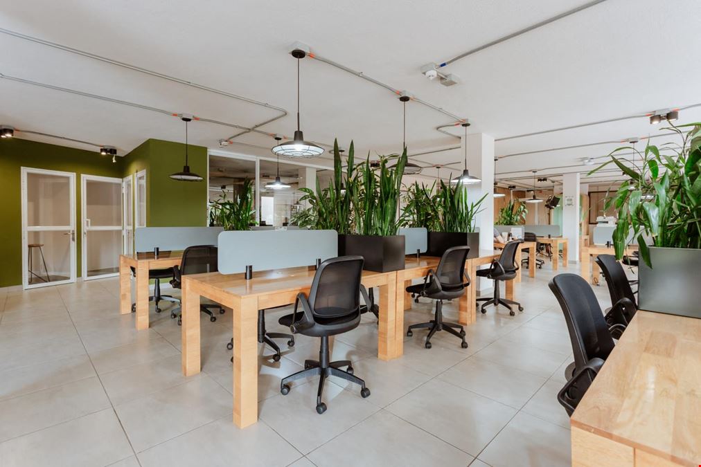 Semilla Café Coworking