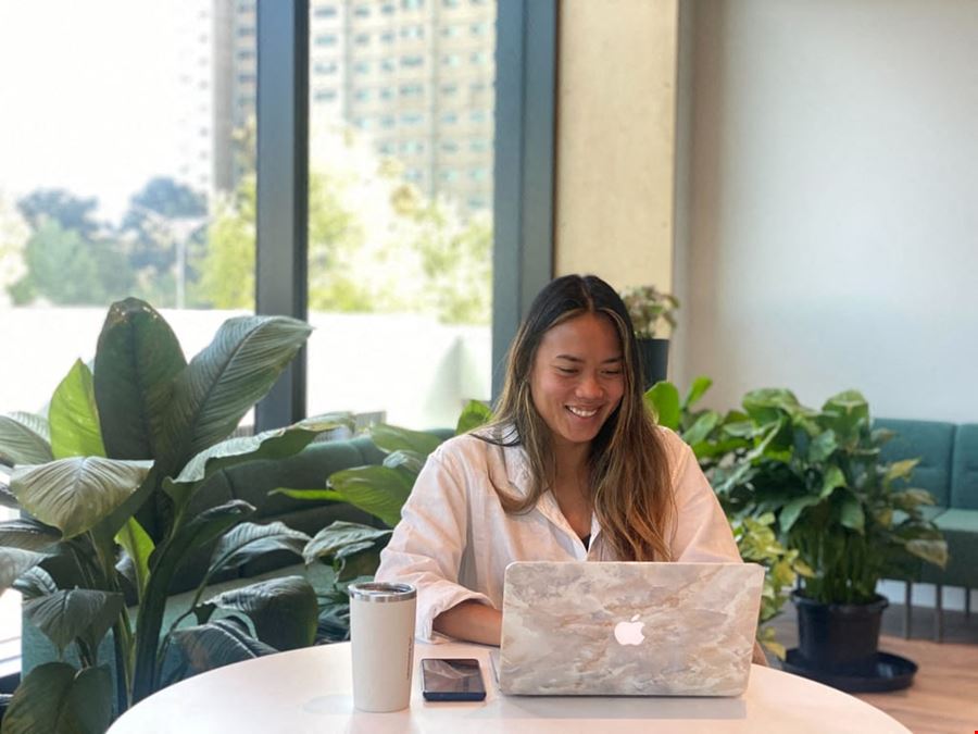 The Hive - Abbotsford