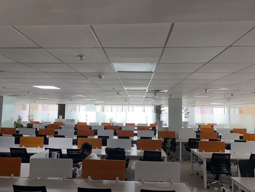 Showffice LKO-Levana