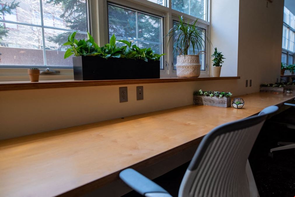 The Wilderness Fitness and Coworking