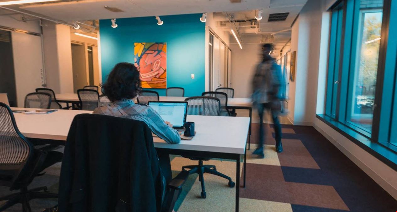 The Yard: Washington DC