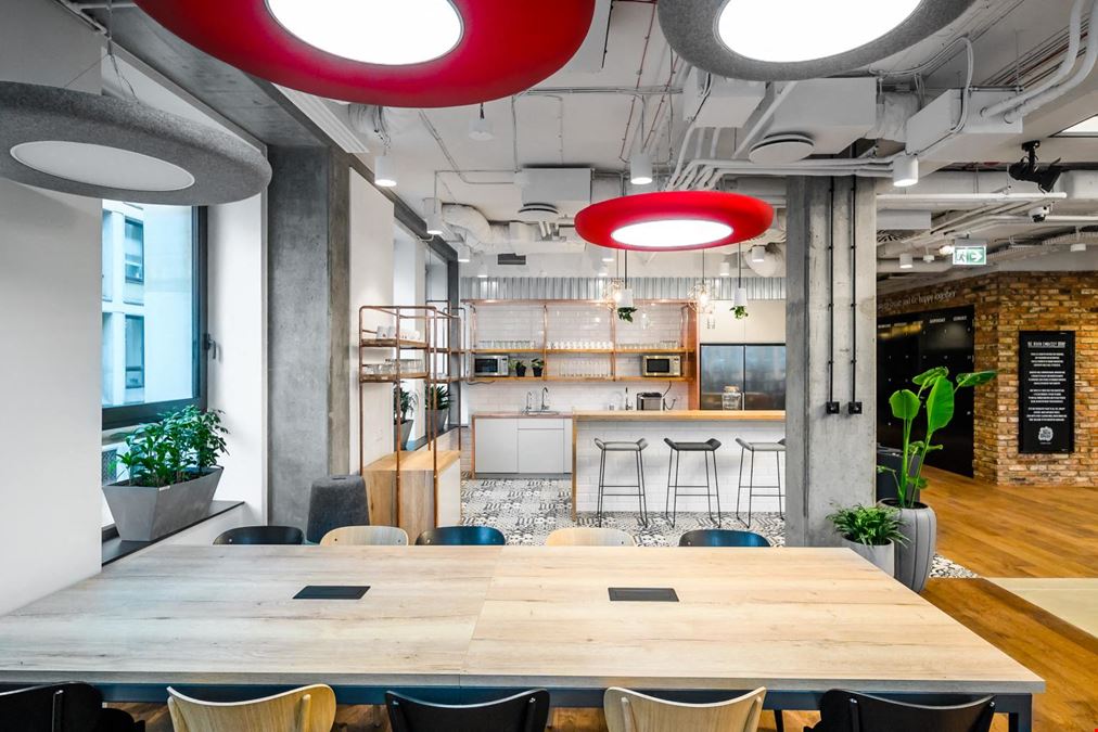 Brain Embassy Czackiego