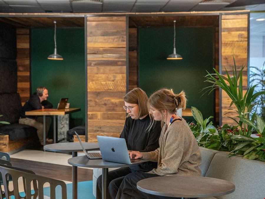 Huckletree - Dublin