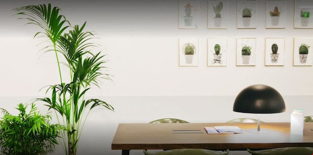 Fora - Lloyd's Avenue