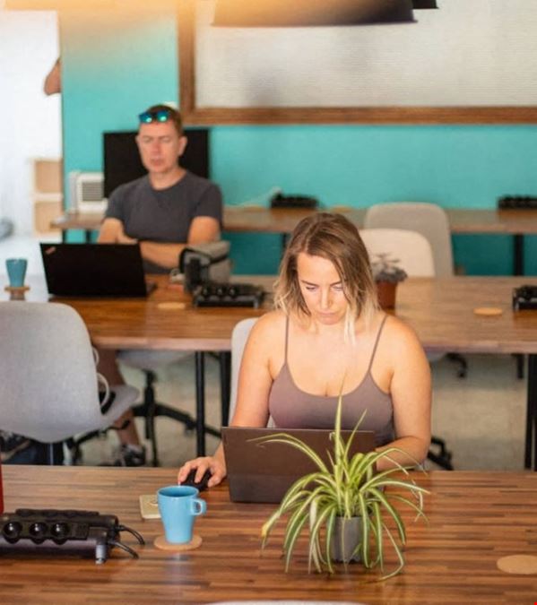 Zen Den Coworking - Tenerife