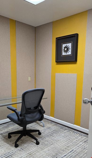 Onyx - Private Office