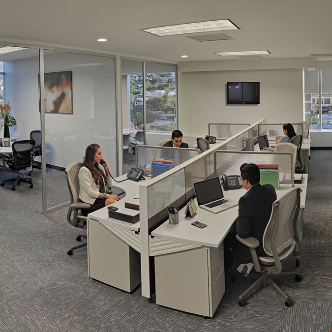 IOS OFFICES - Torres IOS Campestre