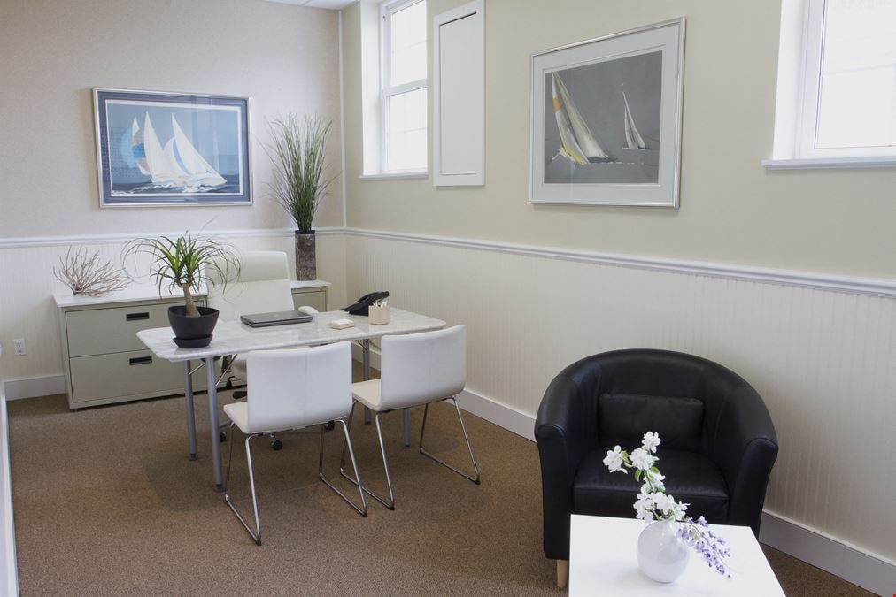 Professional Office