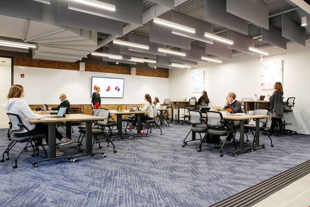 Serendipity Labs - Westport