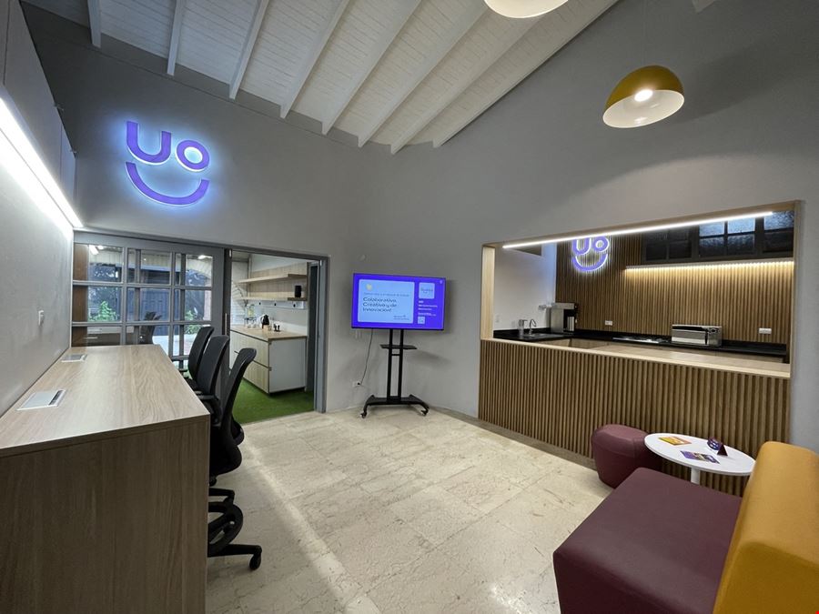 Quokka - Patio Bonito