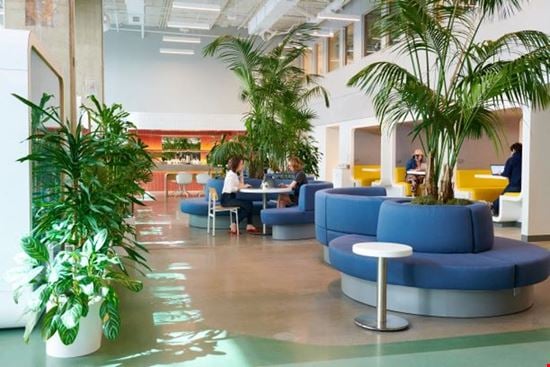 Hatchways office