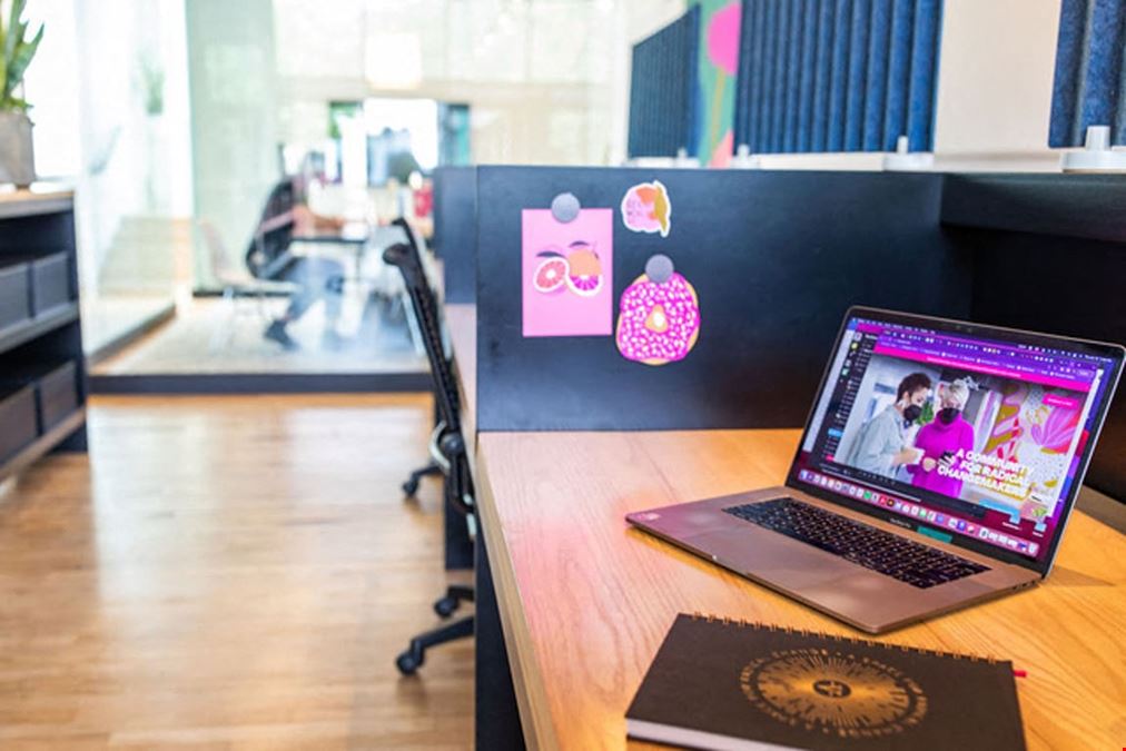 The Coven - East Lake