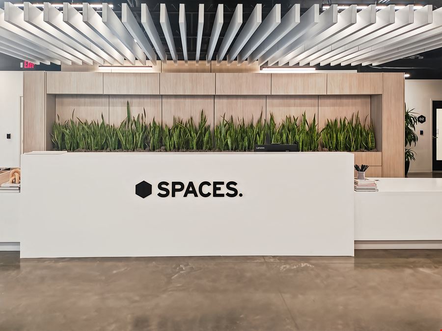 TN, Mount Juliet - Bear Crossing