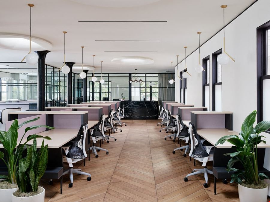 CANOPY - Pacific Heights