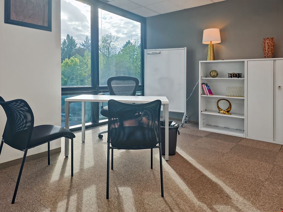 OR, Lake Oswego - Kruse Way