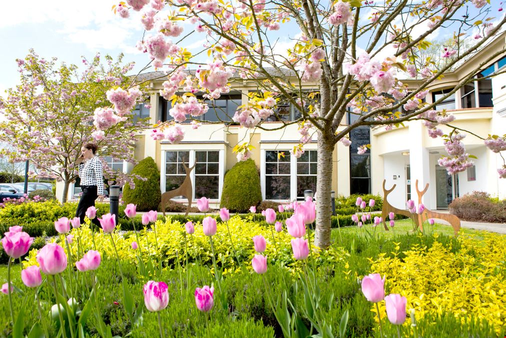 Citibase - Local Reading