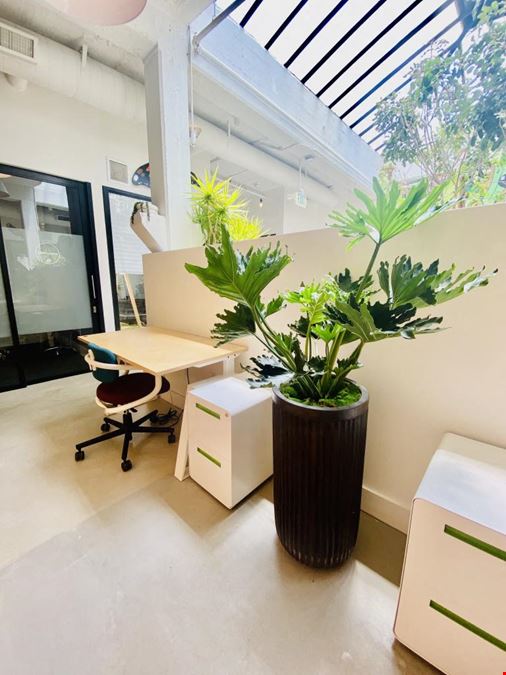 Semi-Private Desks