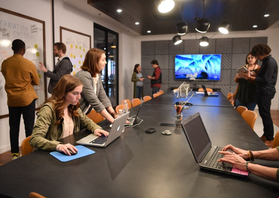 The Shop New Orleans