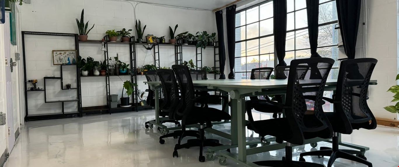 The Plant Apothecary