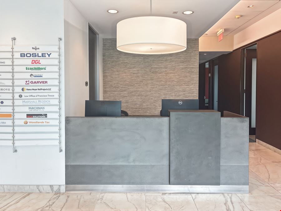 TX, The Woodlands - Waterway