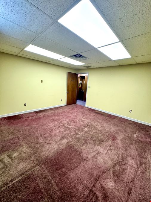 One Village Alliance, Freedom