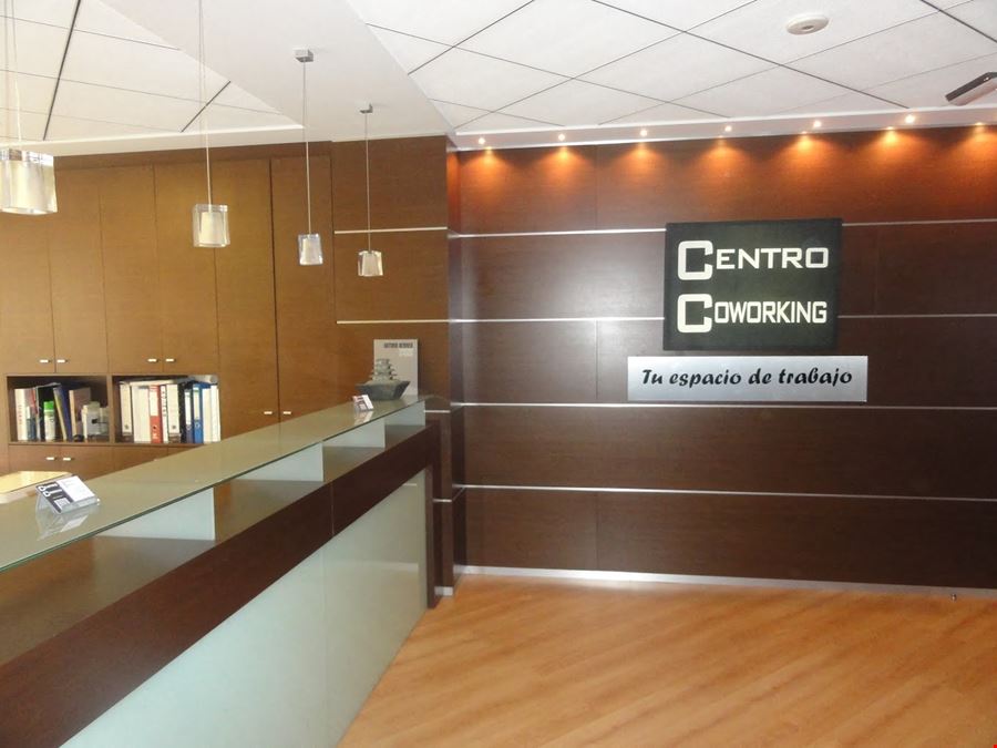 Centro Coworking Valencia - Centro Coworking - Valencia