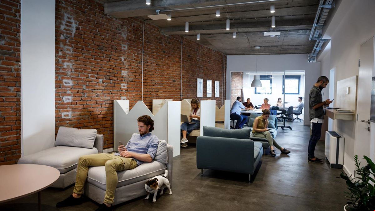 Nova Iskra Workspace - Zemun