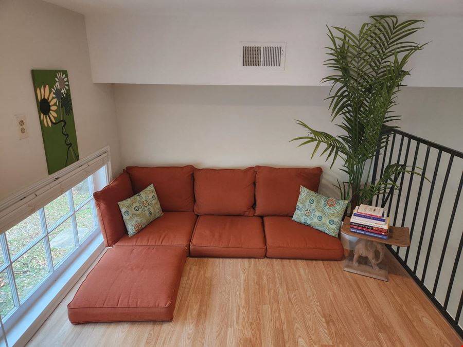 The Mind Body Collective