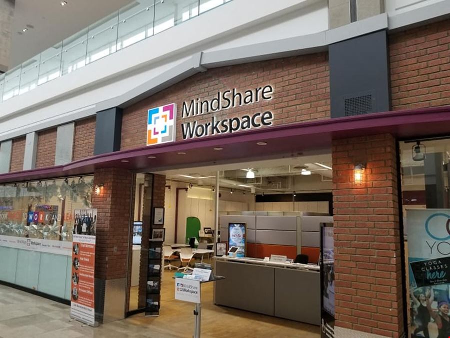 MindShare Workspace