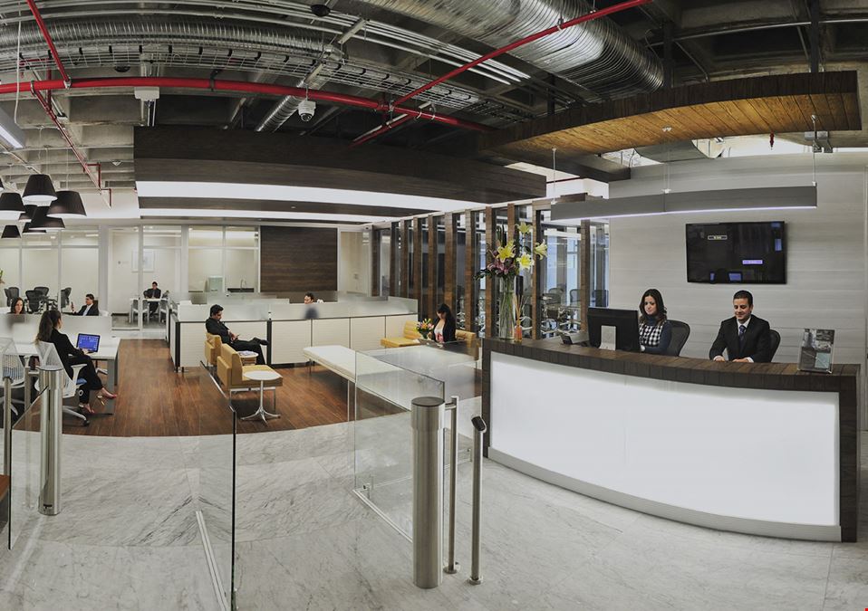 IOS OFFICES - Torre Reforma 483-piso 14