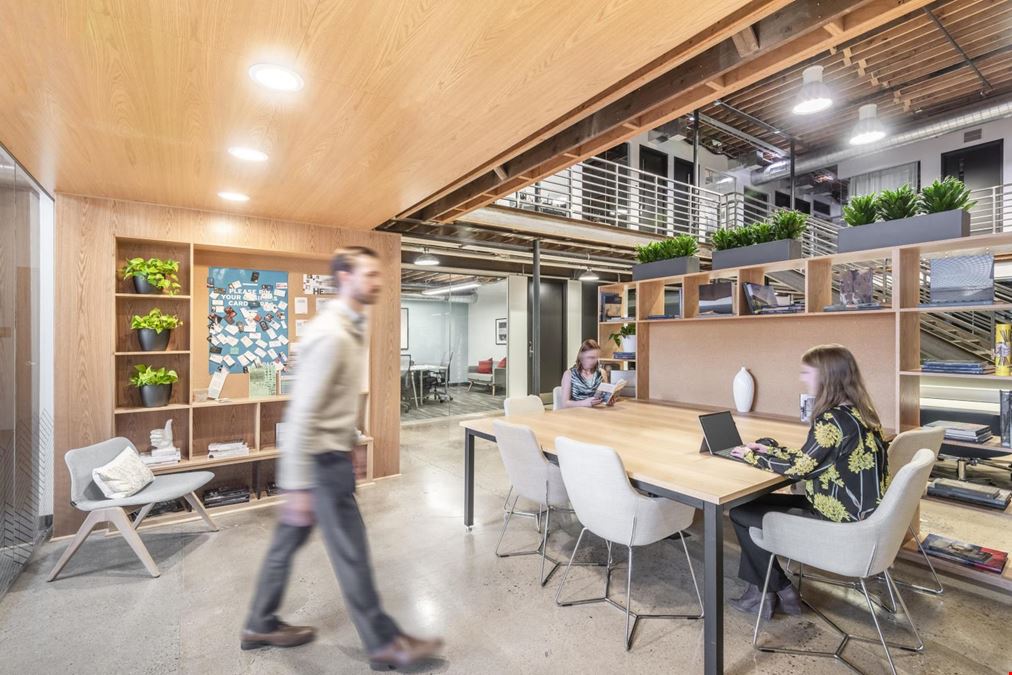 Spaces Linden Street