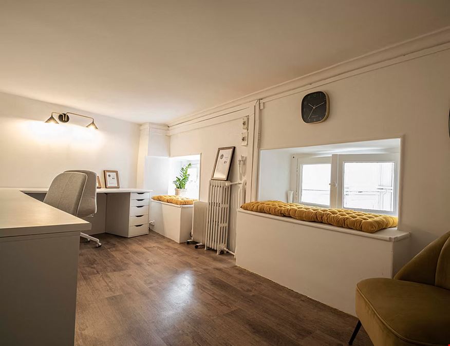 Lémurs Place du Marché aux Fleurs