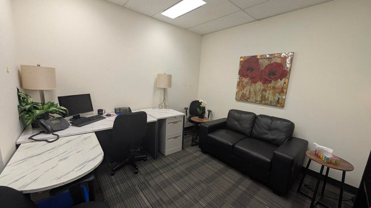 1163 Private office