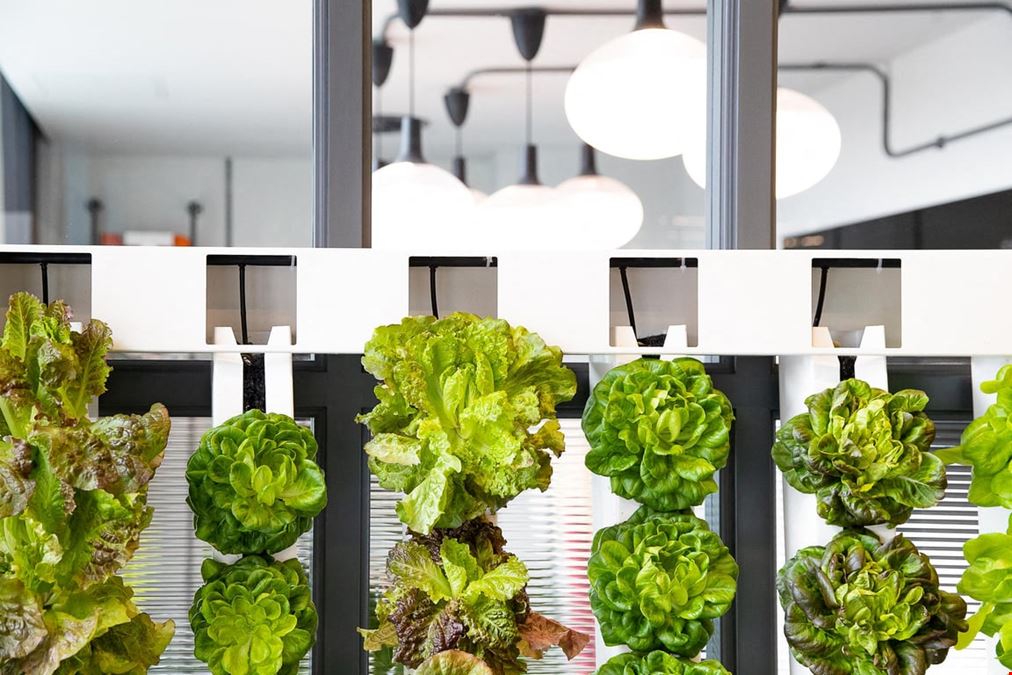 Bruntwood - Cotton Exchange