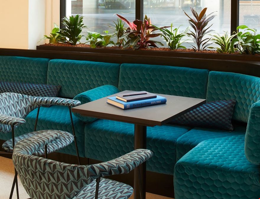 Fora - Fitzrovia - Eastcastle Street