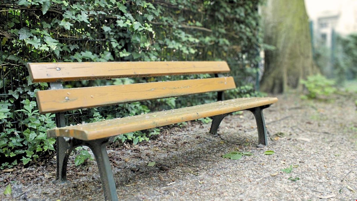 THE GATE BERLIN - Schroeder 11