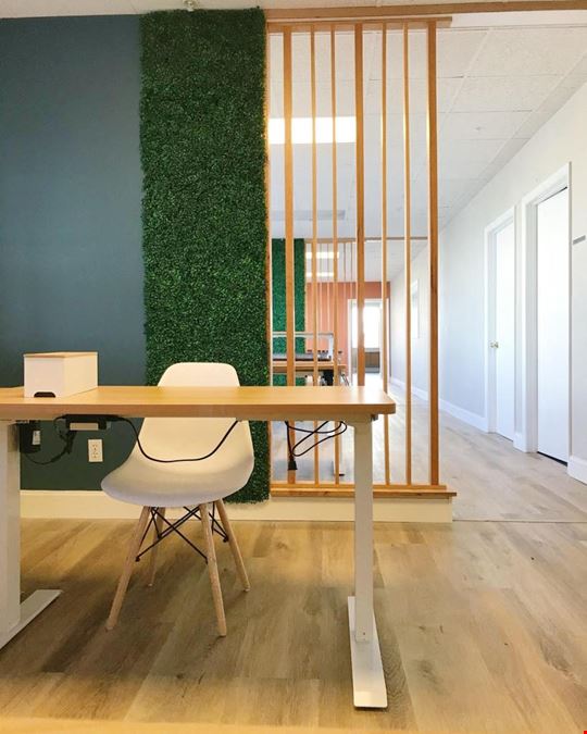 Private Office Day Pass - One Person
