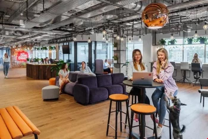 Brain Embassy Skierniewicka