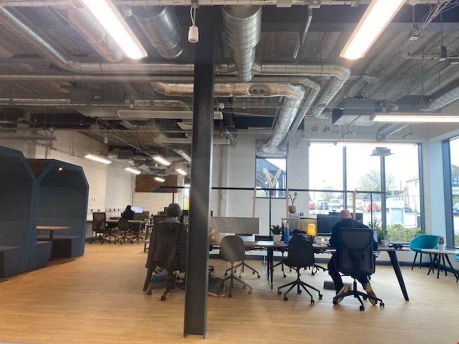 The Workshed -  Liskeard