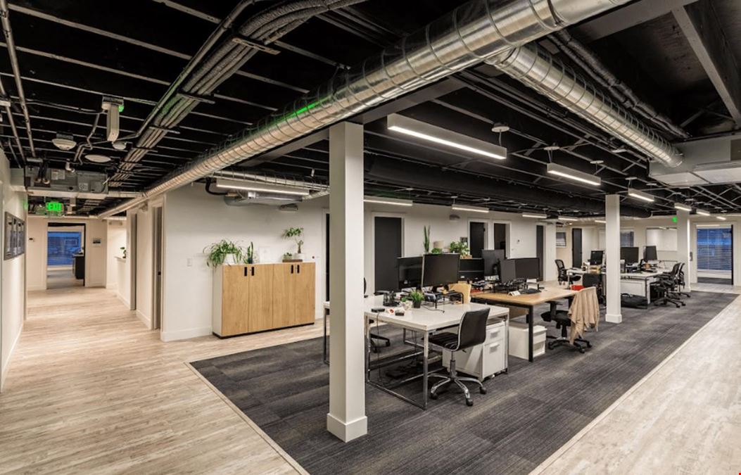 The Forty Two Sixty Collective