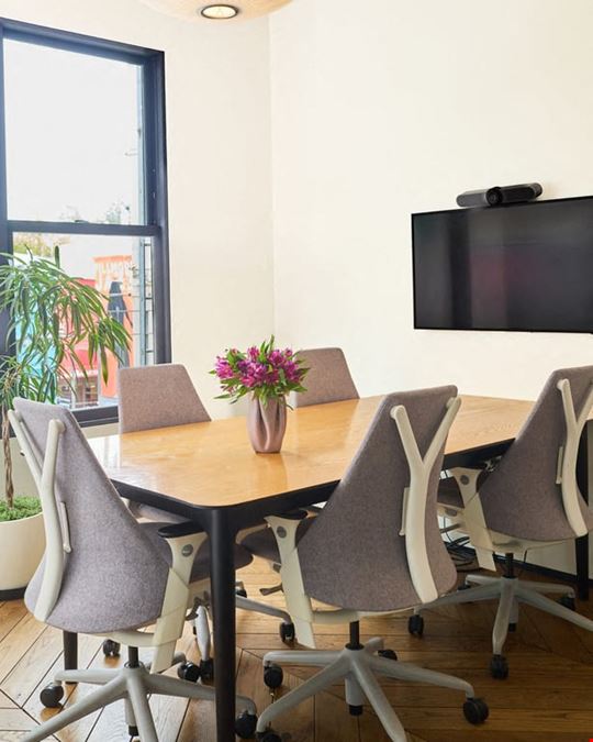 CANOPY - Pacific Heights