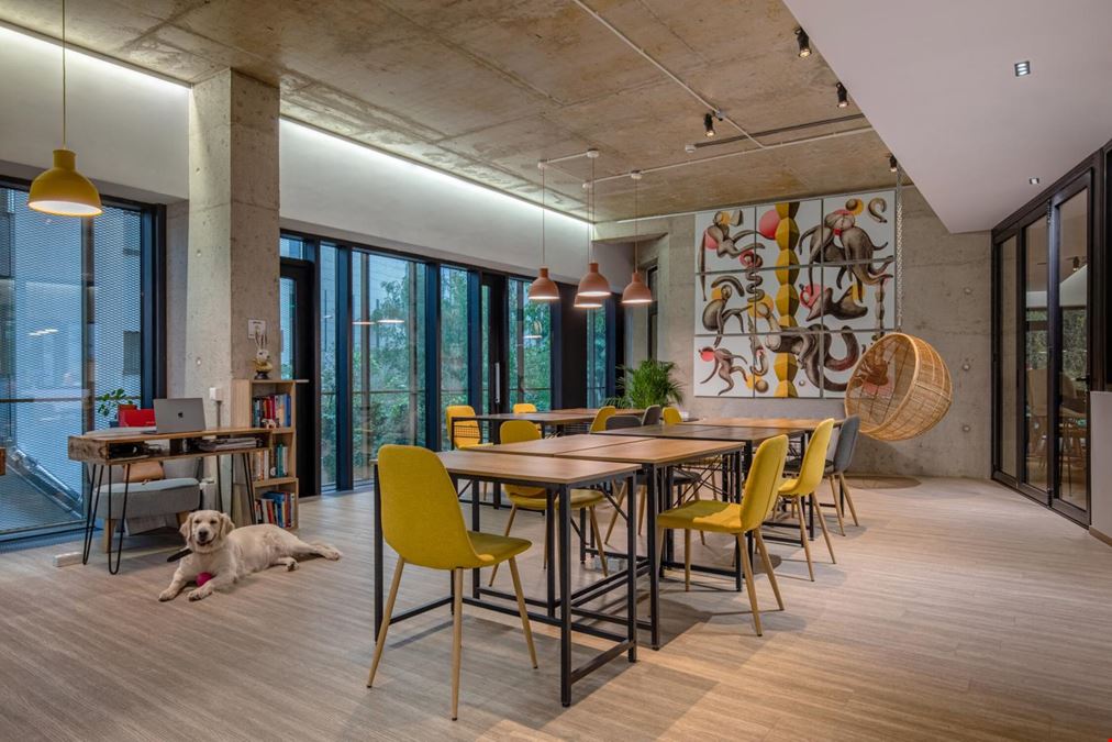 V7 Startup Studio - Bucharest