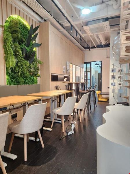 Preview of Meownistry of Meow Coworking space for Rent in Singapore