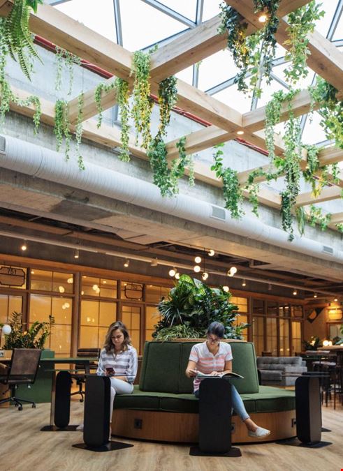 Kolektif House - Maslak